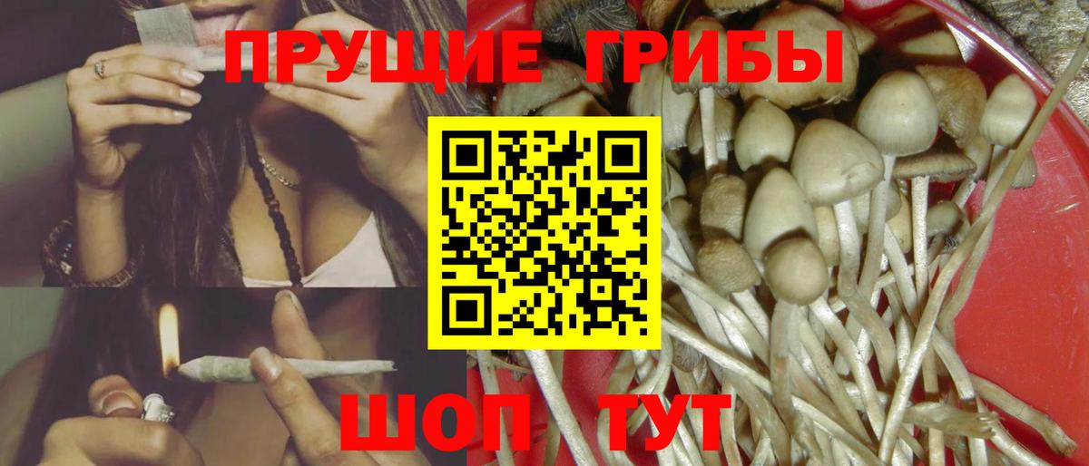 Галлюциногенные грибы MAGIC MUSHROOMS  хочу   Нарткала  Вход с VPN 