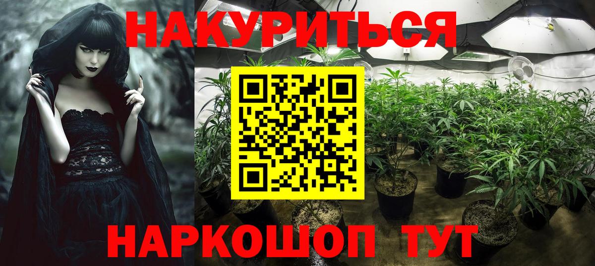 Бошки Шишки план Нарткала